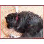 Saisonstart 26  April 2009